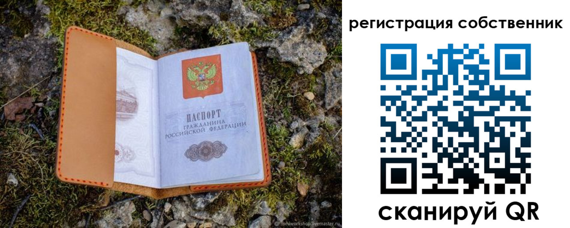 прописка поиск в Щёкино